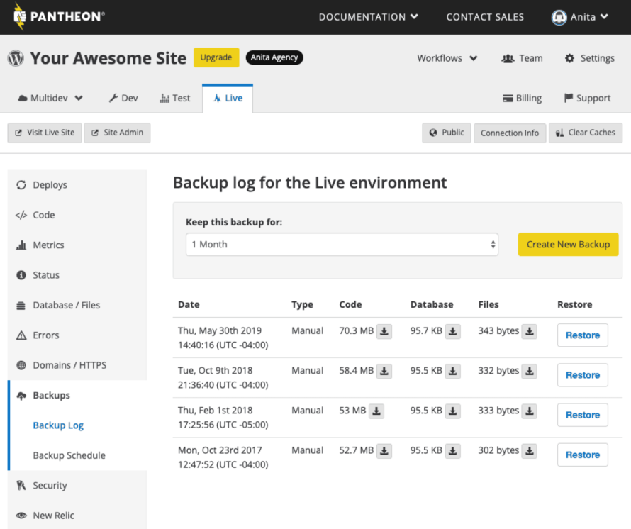 A screenshot of the Pantheon Dashboard featuring a backup log.