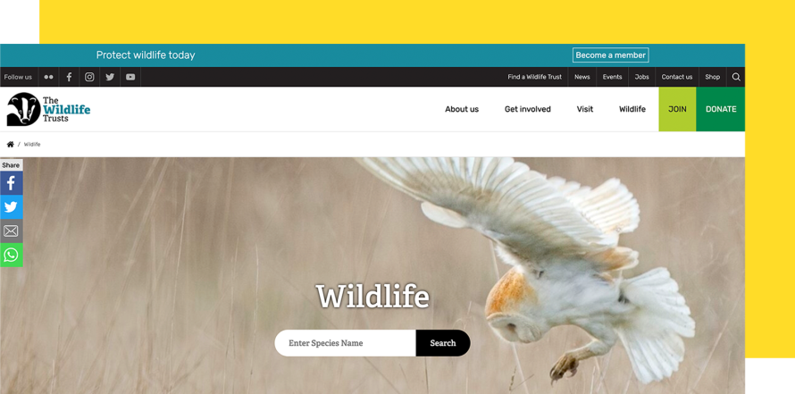 The Wildlife Trusts' homepage