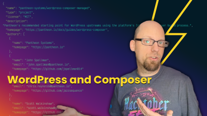 WordPress and Composer